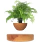 A Floating Wooden Plant Pot appears to float above a matching wooden base.