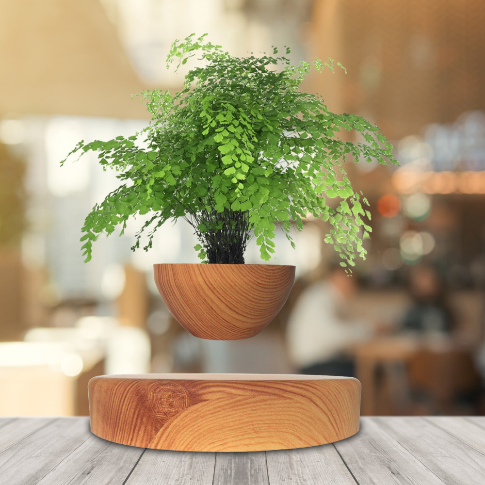 The Floating Wooden Plant Pot, featuring a small green plant suspended effortlessly above a coordinating wooden base, stands prominently on a table with an elegantly blurred indoor backdrop.