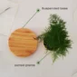 Magnetic Levitation Potted Aerial Ornaments Suspended Woodgrain Plant Bonsai Lamp Night Bedroom Fancy Lighting Table Light Kids 2
