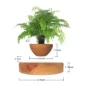 Magnetic Levitation Potted Aerial Ornaments Suspended Woodgrain Plant Bonsai Lamp Night Bedroom Fancy Lighting Table Light Kids 3