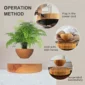 Magnetic Levitation Potted Aerial Ornaments Suspended Woodgrain Plant Bonsai Lamp Night Bedroom Fancy Lighting Table Light Kids 4