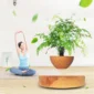 Magnetic Levitation Potted Aerial Ornaments Suspended Woodgrain Plant Bonsai Lamp Night Bedroom Fancy Lighting Table Light Kids 6