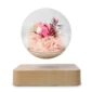 A levitating glass orb with pink flowers and foliage inside, held above a wooden base.