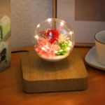 Light Color